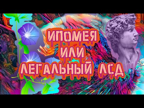 Семена Ипомеи - Легальный Аналог ЛСД???