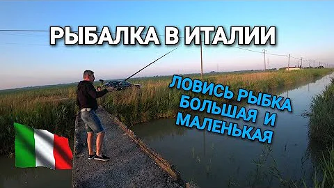 ПУТЕШЕСТВИЕ  В ИТАЛИЮ. РЫБАЛКА НА ОРОСИТЕЛЬНЫХ КАНАЛАХ