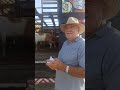 #youtubeviral #gado #agroemfocotvdigital #fazenda #pecuarista #agro #youtubeshorts