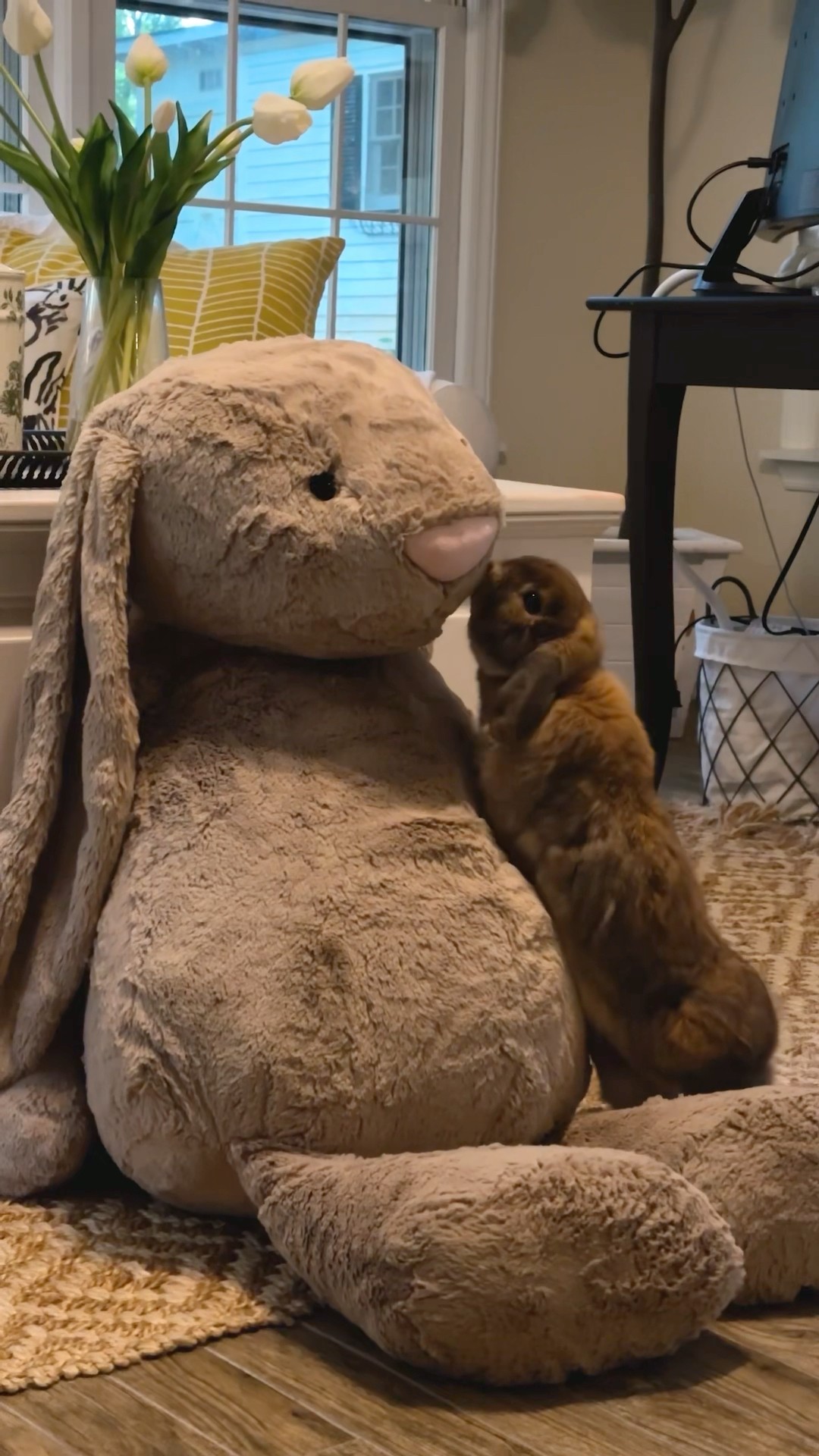 Unboxing my baby's GIANT rabbit jellycat - YouTube