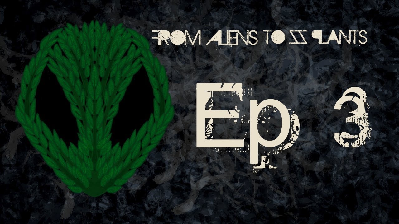 The One Where We Talk Writing - From Aliens to ZZ Plants