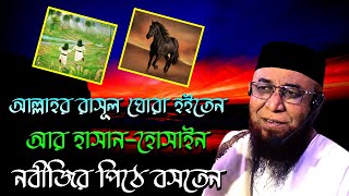 আল্লাহর রাসূল বড় নাকি হাসান হোসাইন বড় অবাক করা ঘটনা