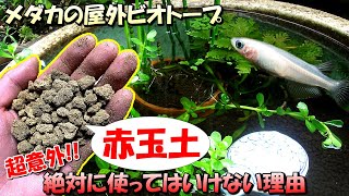 メダカの屋外ビオトープ飼育で「赤玉土（底床）」を絶対に使ってはいけない環境と理由について【初心者注意】