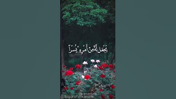 سورة الطلاق أَنْ يَضَعْنَ حَمْلَهُنَّ وَمَنْ يَتَّقِ اللَّهَ يَجْعَلْ لَهُ مِنْ أَمْرِهِ يُسْرًا (4)