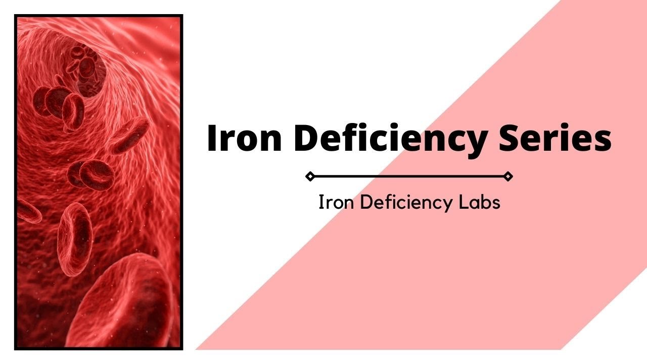 Iron Deficiency Labs Iron Deficiency Series 2 YouTube
