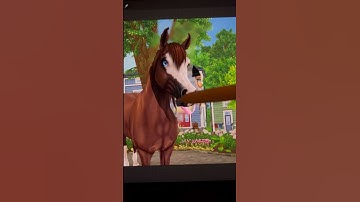 Star stable new edit reveal!🐴🎨💛 #starstableonline #sso #starstable