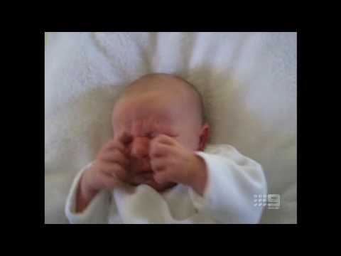 australia's-funniest-home-videos-(1):-2009/10/31