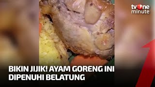 JIJIK! Ayam Goreng di Nasi Kuning Malah Dipenuhi Belatung | tvOne Minute