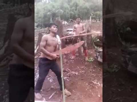 Doña blanca camera iphone 8 plus apk