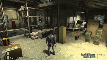 Max Payne 2 widescreen bugs