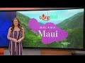 Maui arts  cultural center nurturing community resilience through art and culture