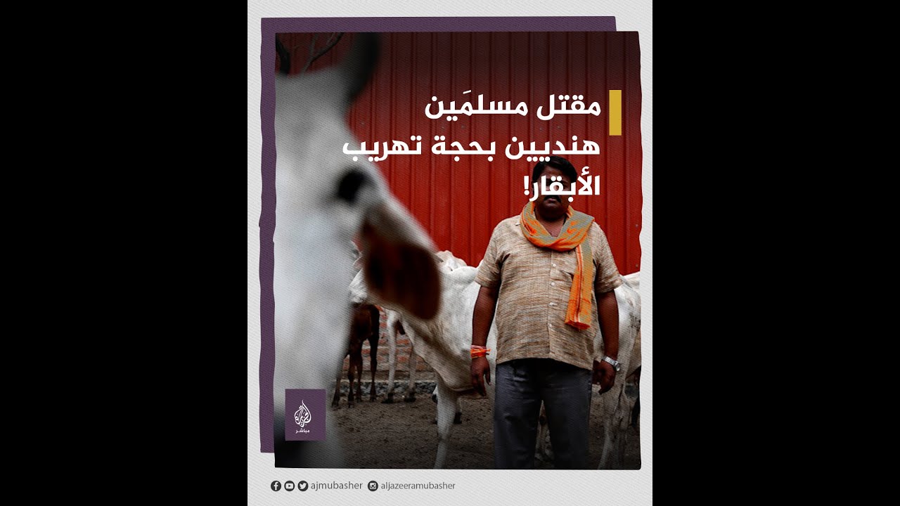 بحجة تهريب الأبقار.. مقتل مسلمَين على أيدي مليشيات هندوسية