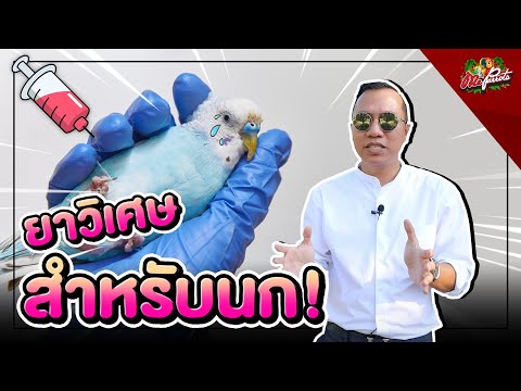ยาวิเศษสำหรับนก