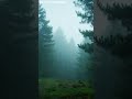Stop Overthinking with Rain & Piano 🌧️ | Mental Healing Music #shorts