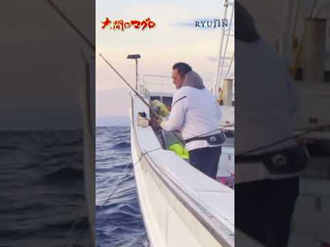 奇跡の一本釣り二刀流 240kg級 芳兄一人でまさかの巨大マグロ釣り上げる｜南兄弟