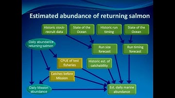 Bayesian estimation methods