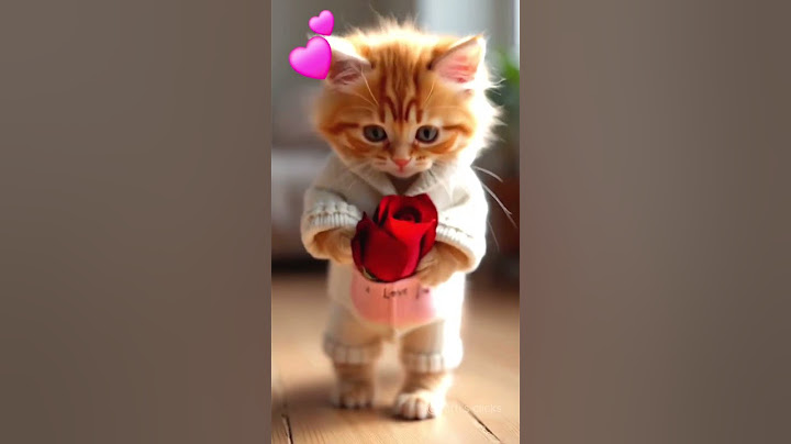 For My loved ones ! #cute #animallife #aiart #shortvideo #funny #cutecat #catvideos #catshorts