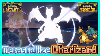 Terastallize Charizard VS Shiny Charizard | Pokemon Scarlet and Violet | Starter Pokemon