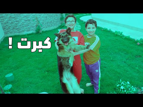 ردة فعل اخواني بعد ما شافو طوكيو كبرت L انصدمت من ردة فعلهم