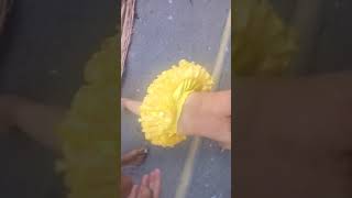 Brincando Com Minha Irmã