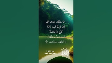 سورة البقرة للشيخ وديع اليمني