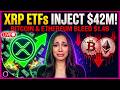 🚨 XRP ETFs PUMP $42M While Bitcoin & Ethereum BLEED $1.4 BILLION!