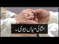 Watch Misali Miyan Biwi | ARY Qtv Online In HD