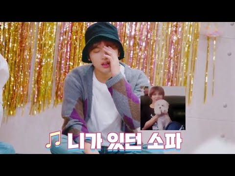 대갈이한테 어필하기