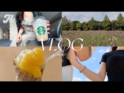 【VLOG】宮崎旅行┊海沿いドライブ┊青島┊ご当地グルメ┊10月