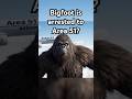 Bigfoot ESCAPES Area 51 Transport! 🏃💨#funny #bigfoot