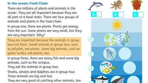 Get Smart plus 4 CLIL 4 Module 7 & 8 page 131