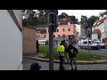 Sparta Prague Hooligans