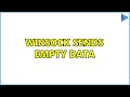 Winsock Sends Empty Data