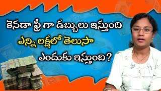 కనడ ల ఫర గ డబబల ఇసతననర How To Get Free Money In Canada 