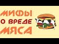 Мифы о вреде мяса #вегетарианство #мясо #здоровье #диета #еда