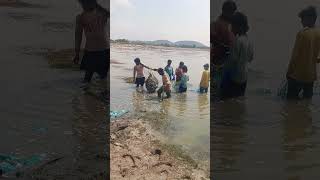 చెరువులో పాసి తీసి చేపలు వేట చేస్తున్న మత్స్యకారులు 🐬🐠🐬