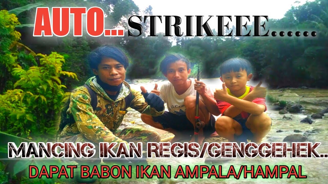 MANCING...ikan regis/genggehek..#+AUTO STRIKEEE... 