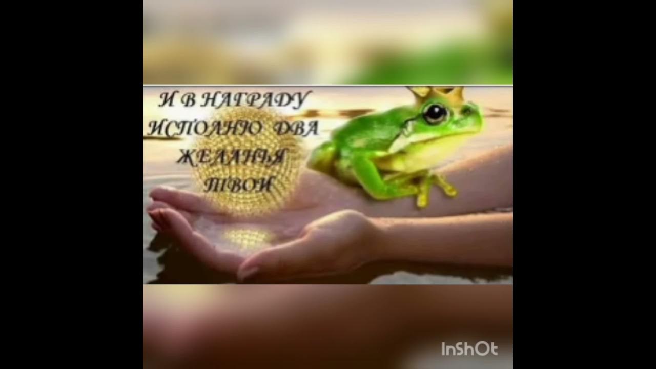 Три желание слушать песню лягушки вика