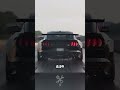 The world’s fastest mustang!!