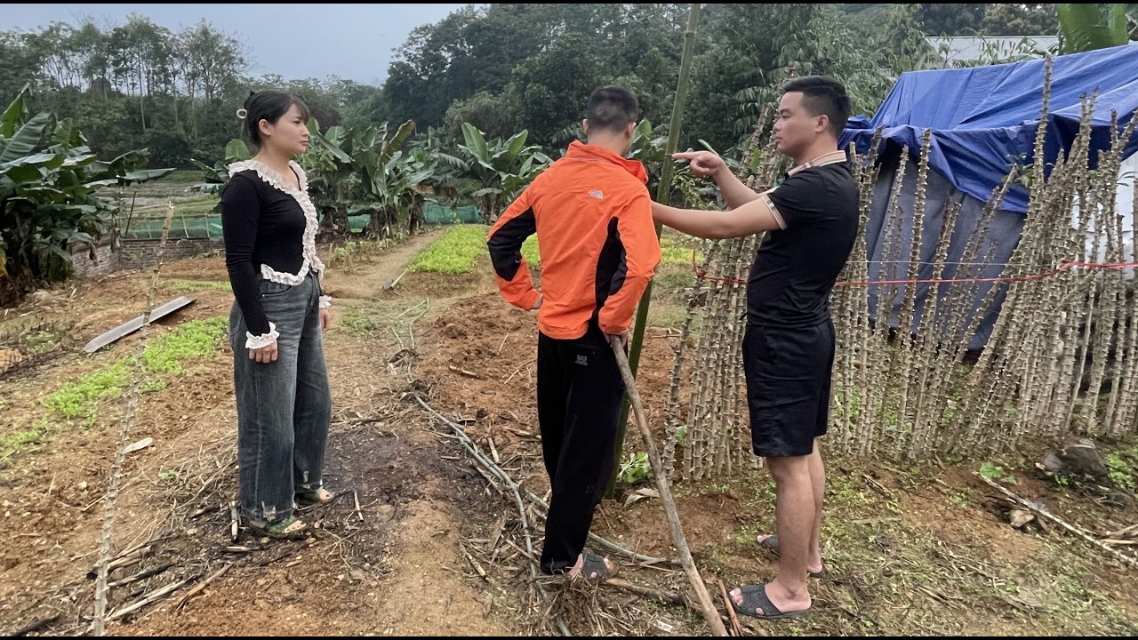 Сон украл вещи мистера Бе, обвинил Тхам — и финал был неожиданным