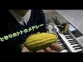 「となりのトトロメドレー(My Neighbor Totoro Medley)」エレクトーンで弾いてみた!!