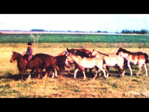 Me Alcanza y Sobra | CARLOS RAMÓN FERNÁNDEZ