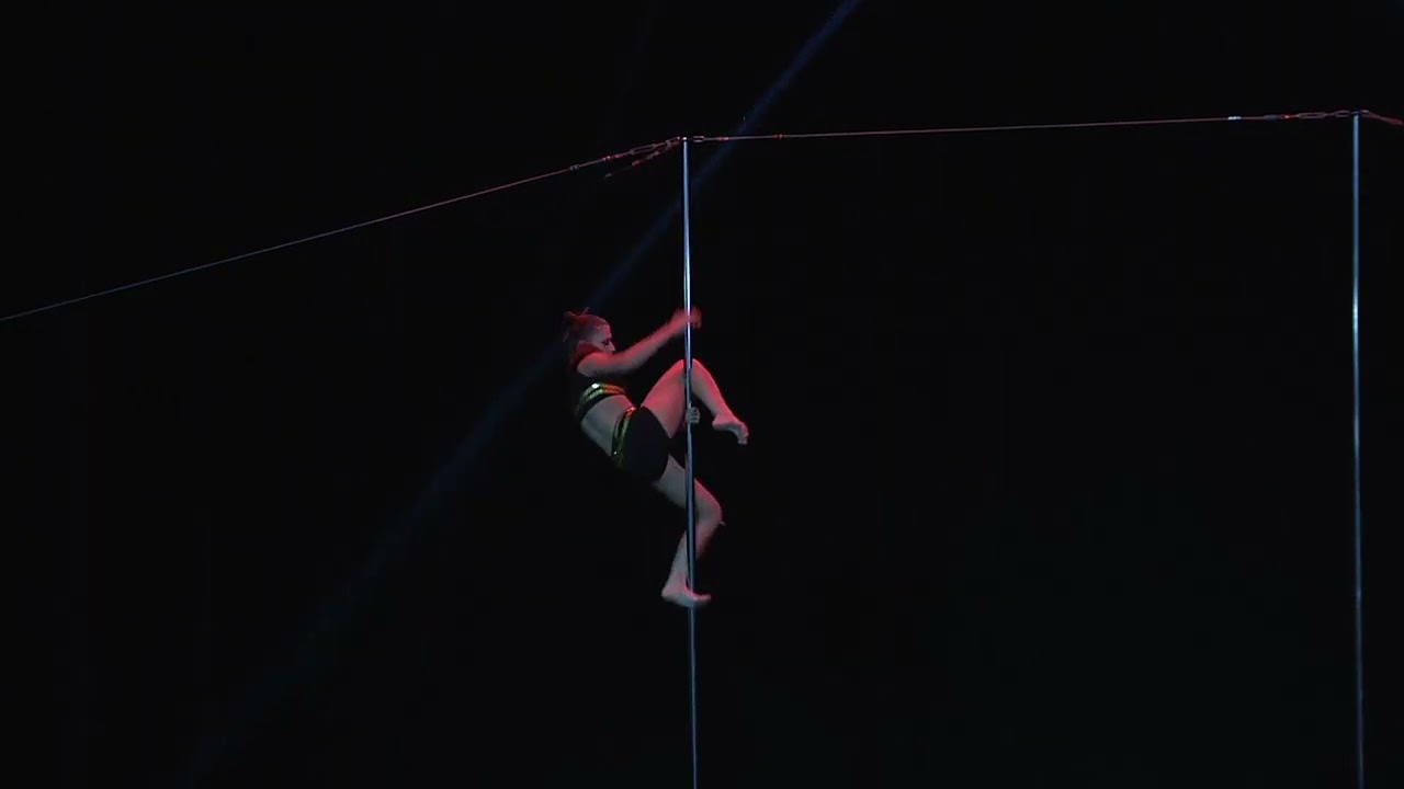 Catwalk,  Скобелева Виктория, г.  Красноярск, Pole Art