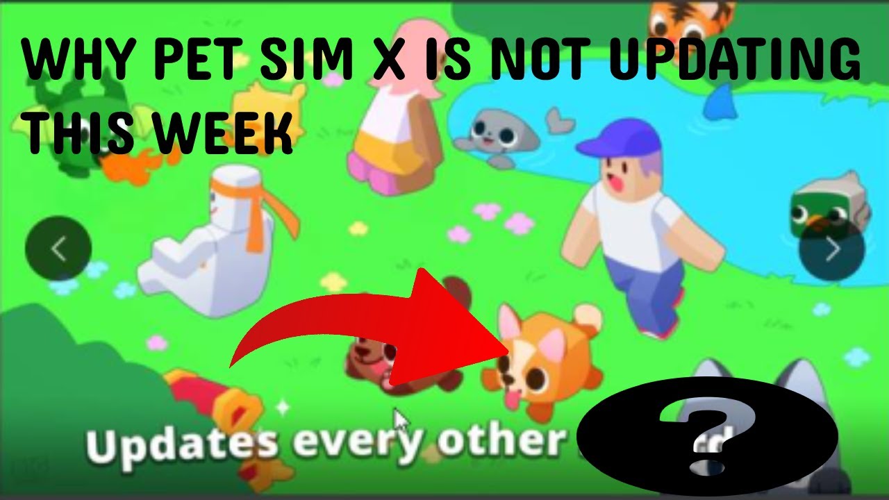 What Truly happend to Preston and Pet Simulator X NOT UPDATING 