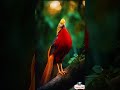 #saxsFM AI Beautiful bird Design ART:  Bird vol1