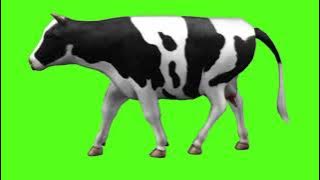 Green Screen Animasi Sapi Nocopyright // Cow Animated Green Screen