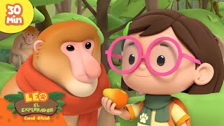 ¿¡El mono quiere ser humano?! 🐒🙊 | Criaturas Curiosas | Leo, El Explorador | Animación
