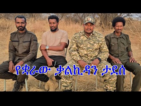 Anchor Media የቋራው ቃልኪዳን ታደሰ የአማራ ፋኖ ብሄራዊ ሃይል ወደ ሙሉ ቁመናው ተመለሰ