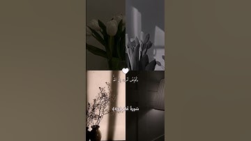 وأفوض أمري إلى الله سورة غافر🤍