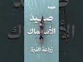 كوراساو… جزيرة عرفناها من كأس العالم وفيها قصة 3 آلاف مسلم.